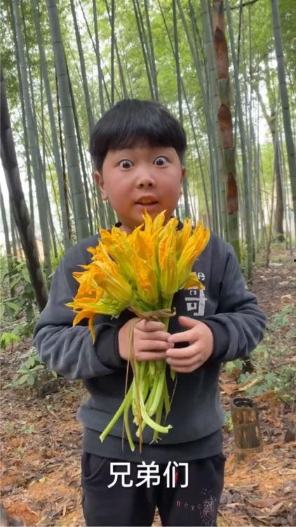 花儿姐妹吃瓜,一场欢乐的夏日盛宴