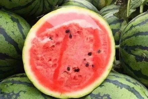 吃瓜无米,揭秘娱乐圈背后的故事