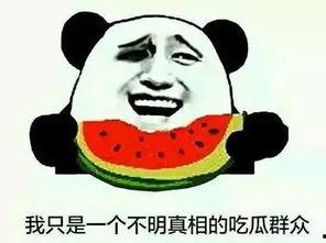 跟b哥吃瓜,一场娱乐圈的狂欢盛宴