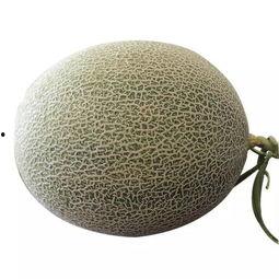 吃货吃蜜瓜,吃货的甜蜜诱惑之旅