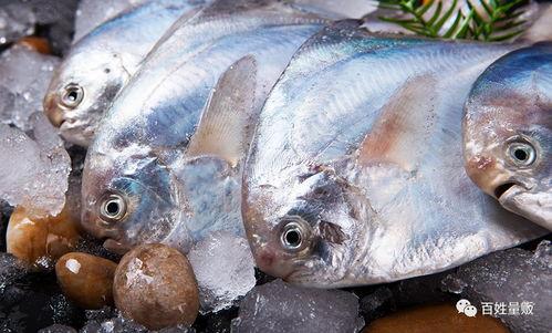 吃金鲳鱼可以吃胡子瓜吗,胡子瓜同食新体验