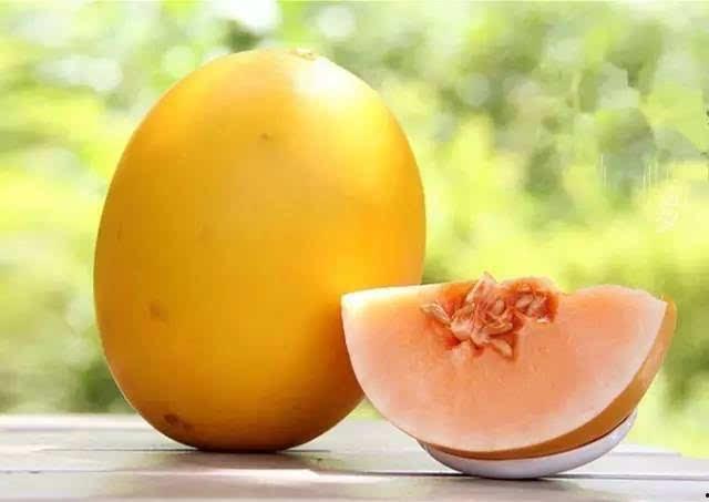 吃珍稀瓜,探寻珍稀瓜果的神秘魅力