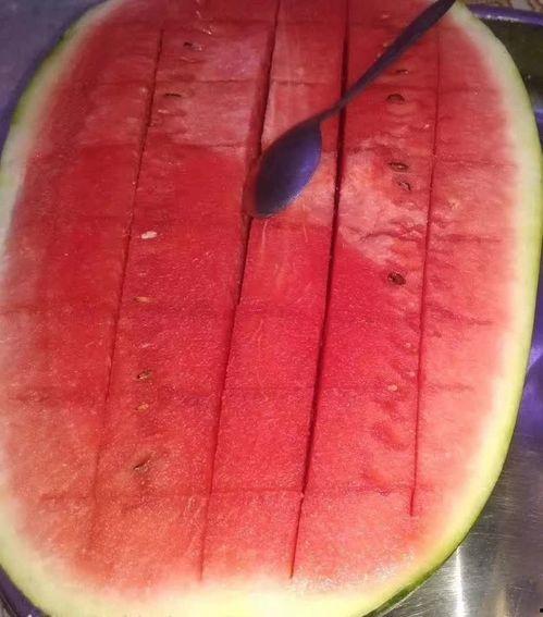 灵魂吃瓜的图片,揭秘网络热图背后的趣味与思考