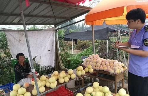 桃厂吃瓜驿站,揭秘娱乐圈幕后故事