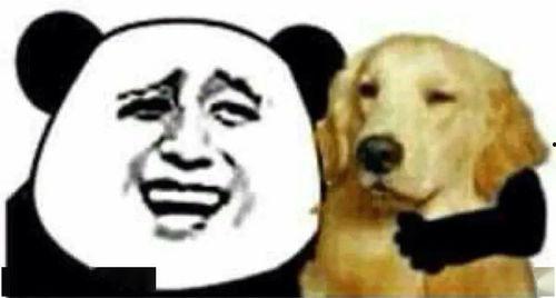 瓜哥带你吃瓜搞笑设计视频