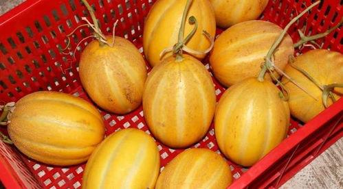 班级吃瓜的快乐,共享快乐时光