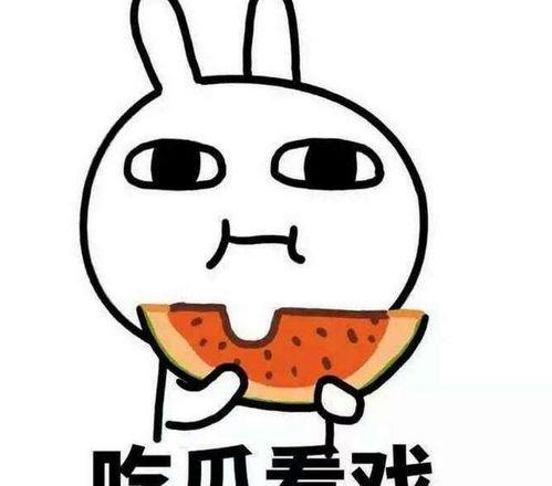 什么叫理性吃瓜,揭秘网络舆论背后的真相与智慧