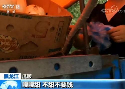 嘎嘎吃瓜小说,揭秘娱乐圈背后的秘密与真相