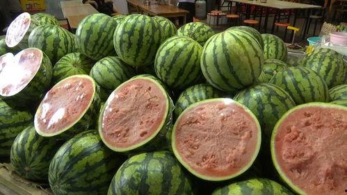 吃瓜20元,揭秘吃瓜背后的20元真相