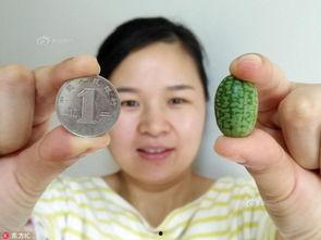 吃瓜125,一场关于美食与生活的深度对话