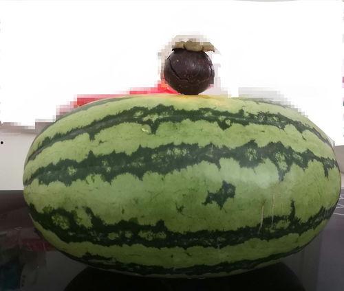 带大家全网吃瓜