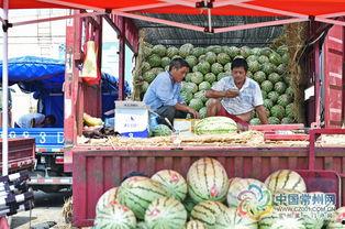 吃瓜区在线观看,揭秘热门话题背后的真相