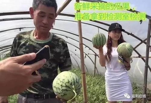 吃瓜区在线观看,揭秘热门话题背后的真相