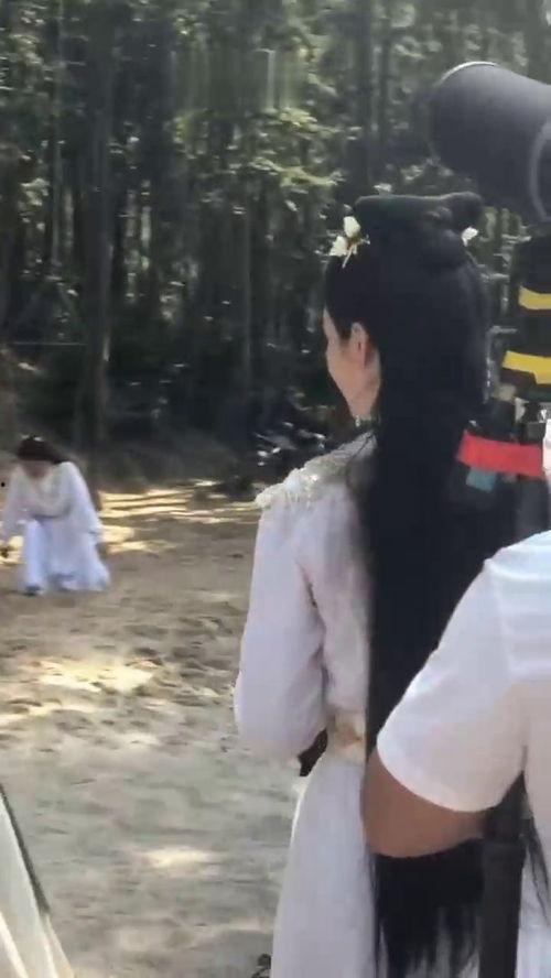 吃瓜救女全集,揭秘神秘家族的复仇传奇