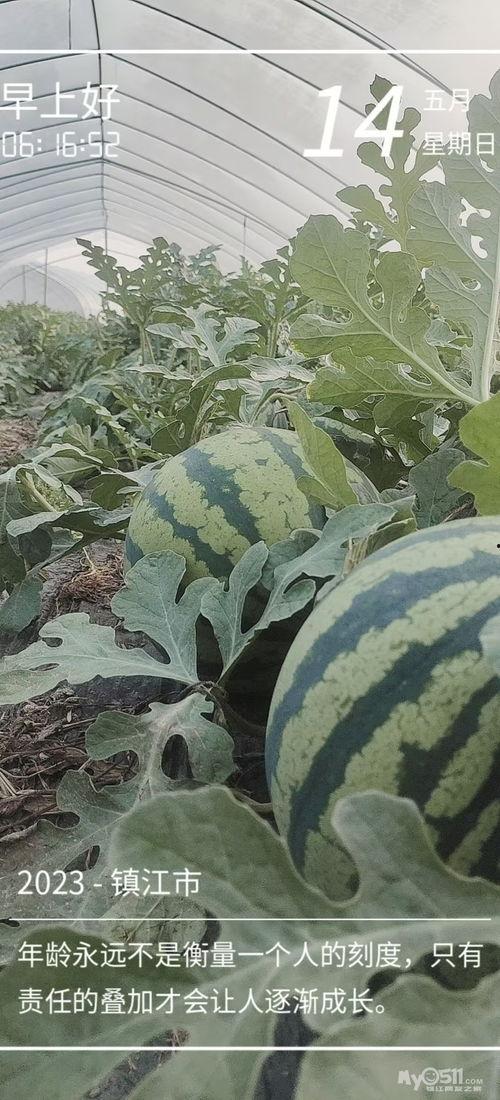 爱大瓜吃瓜,揭秘娱乐圈幕后故事