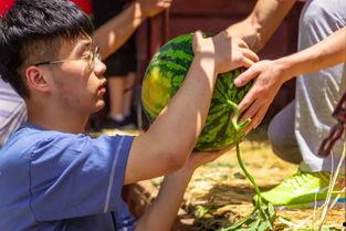 长椅吃瓜原视频