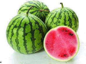 吃不吃瓜黄瓜还是西瓜,吃瓜还是西瓜，揭秘黄瓜与西瓜的饮食奥秘