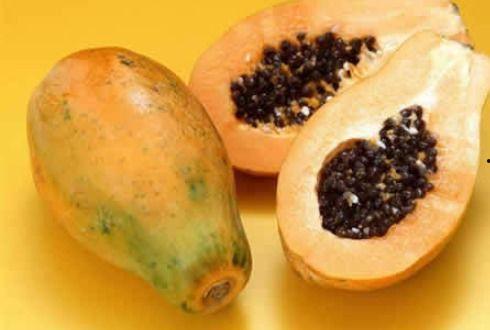 术瓜可以煮着吃吗,探索其烹饪食用新方式