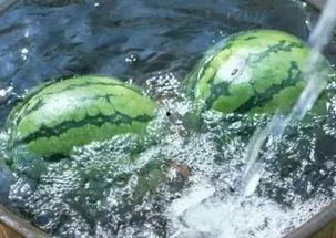 吃瓜看瓜不当瓜,不当行为引发的反思与启示