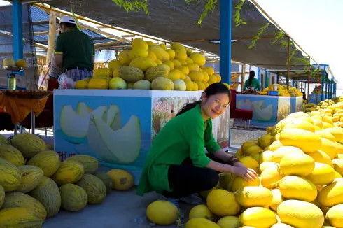 瓜州去哪里吃籽瓜,探寻籽瓜美食的味蕾之旅