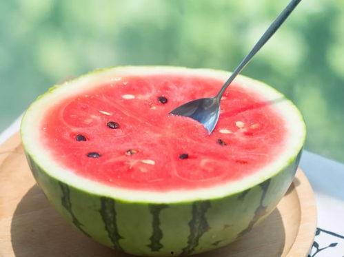 吃瓜树洞酱,吃瓜树洞酱带你探秘明星幕后故事