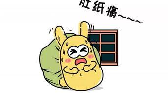吃瓜群众见面