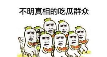 天气太冷吃瓜群众,冬日里的温暖瞬间”
